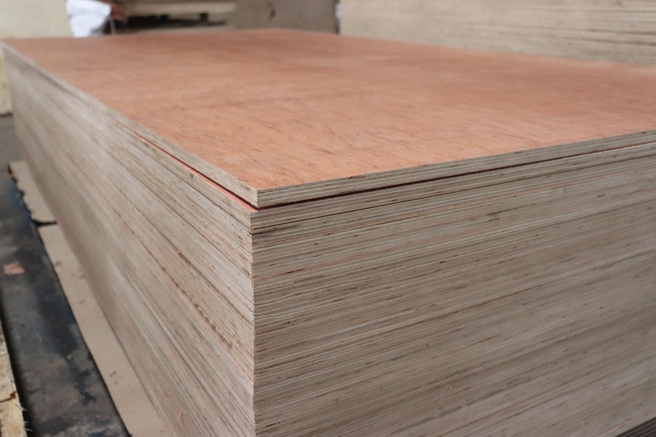 Plywood Project 3